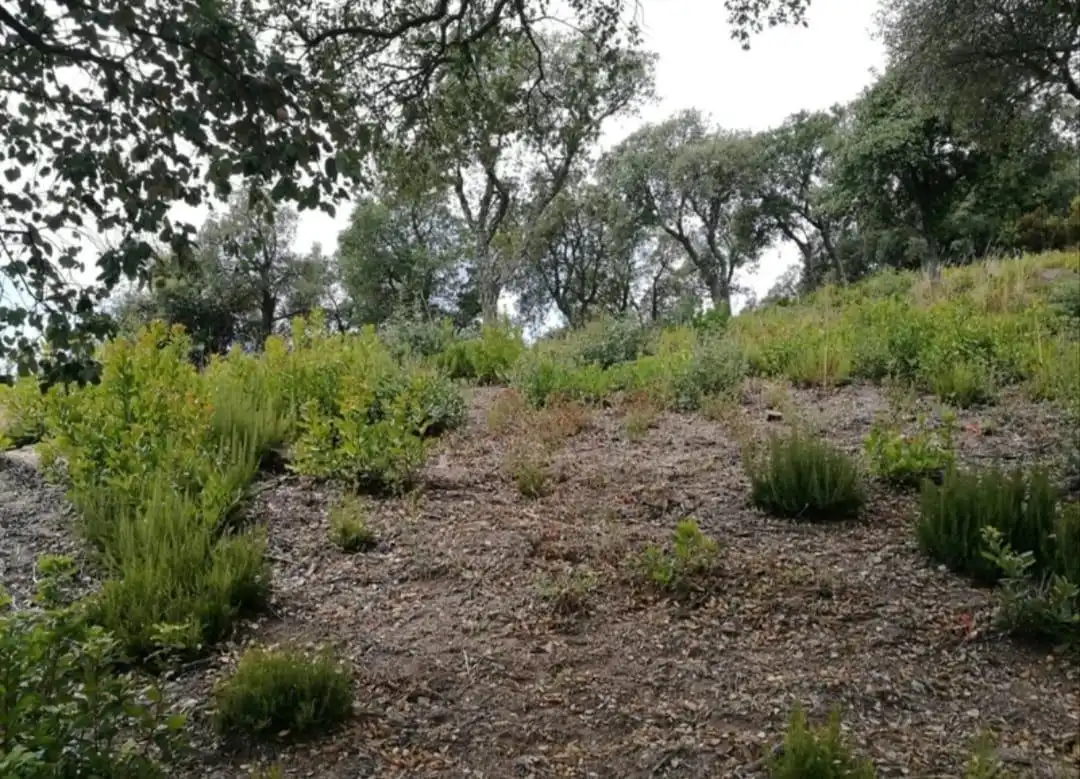 Terreno residencial en venta en Carrer de la Cornisa, imagen 2