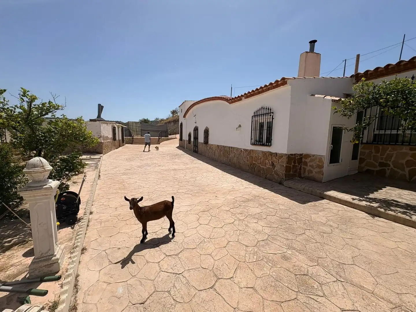 Exterior view of Country homes for sale in Jumilla  with Terrace