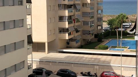 Foto 3 de Estudi de lloguer a Carrer Dénia, Daimús, Valencia