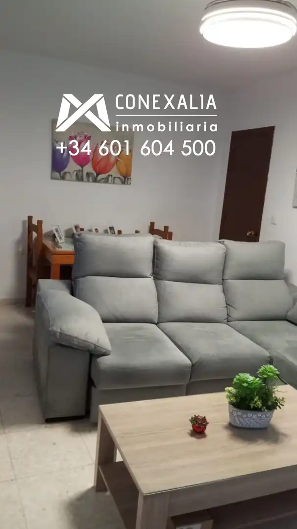 Appartamento con terrazza in vendita a Olvera, imagen 2
