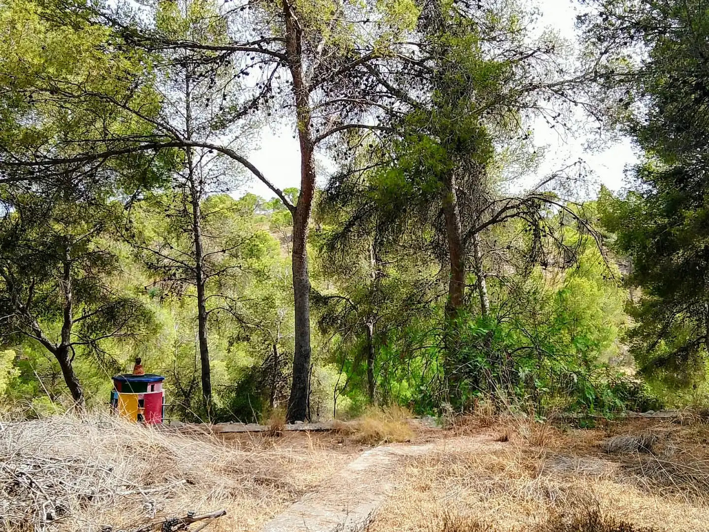 Finca rústica en venta en Tibi con Jardín privado y Terraza