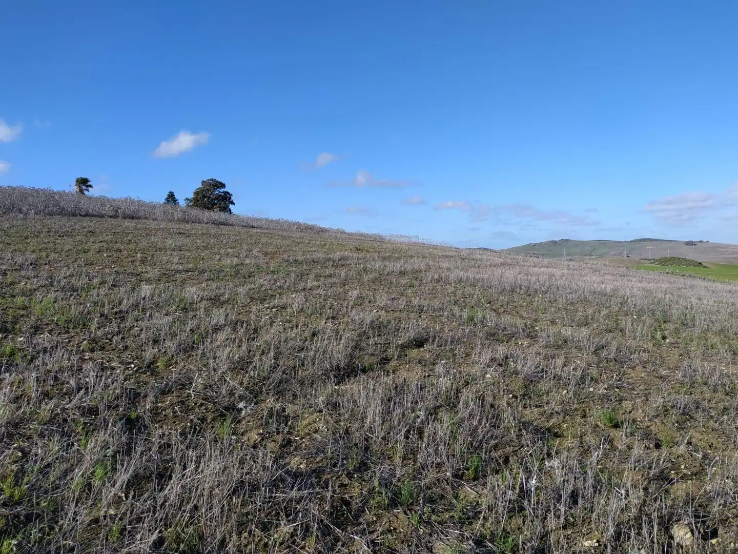 Terreny rústic en venda a Medina Sidonia, imagen 6