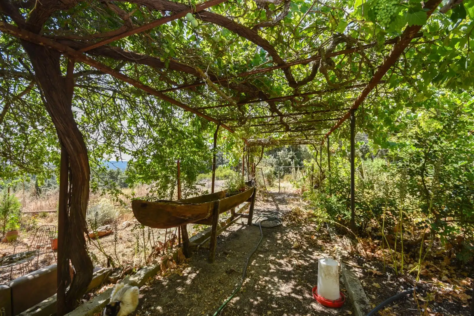 Jardín de Finca rústica en venta en Puigpunyent con Trastero