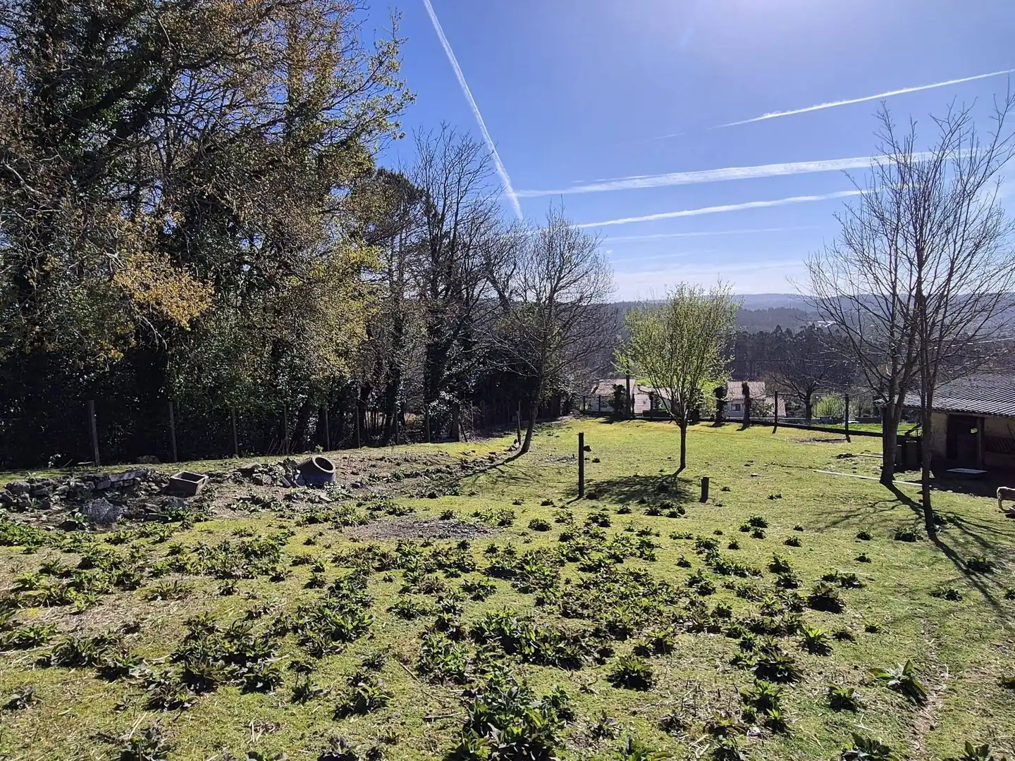 Casa o xalet en venda en Ames amb Jardí privat