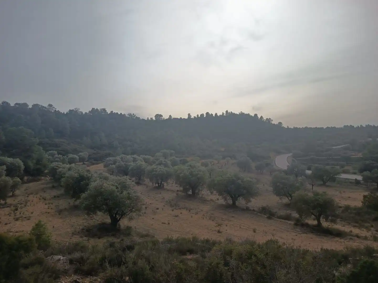 Terreno en venta en Nonaspe