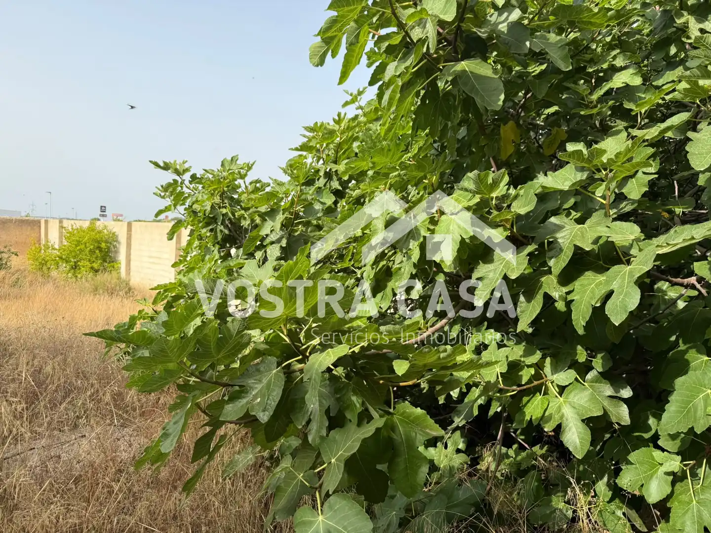 Terreno en venta en Torrent