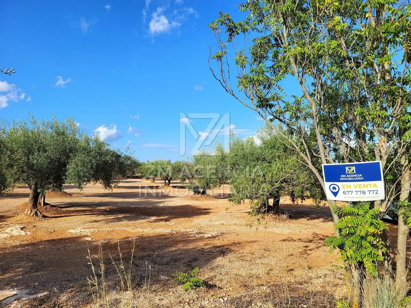 Country house for sale in Rossell, imagen 5