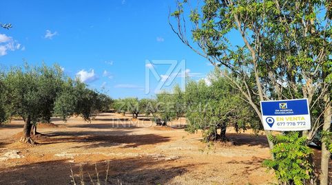 FINCA RUSTICA EN VENTA EN TERMINO MUNICIPAL DE ROSSELL, imatge 5
