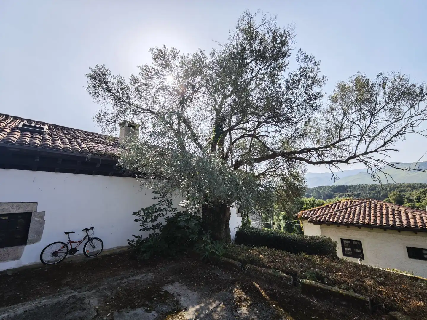 Garden of Houses for sale in Llanes  with Heating, Private garden and Terrace