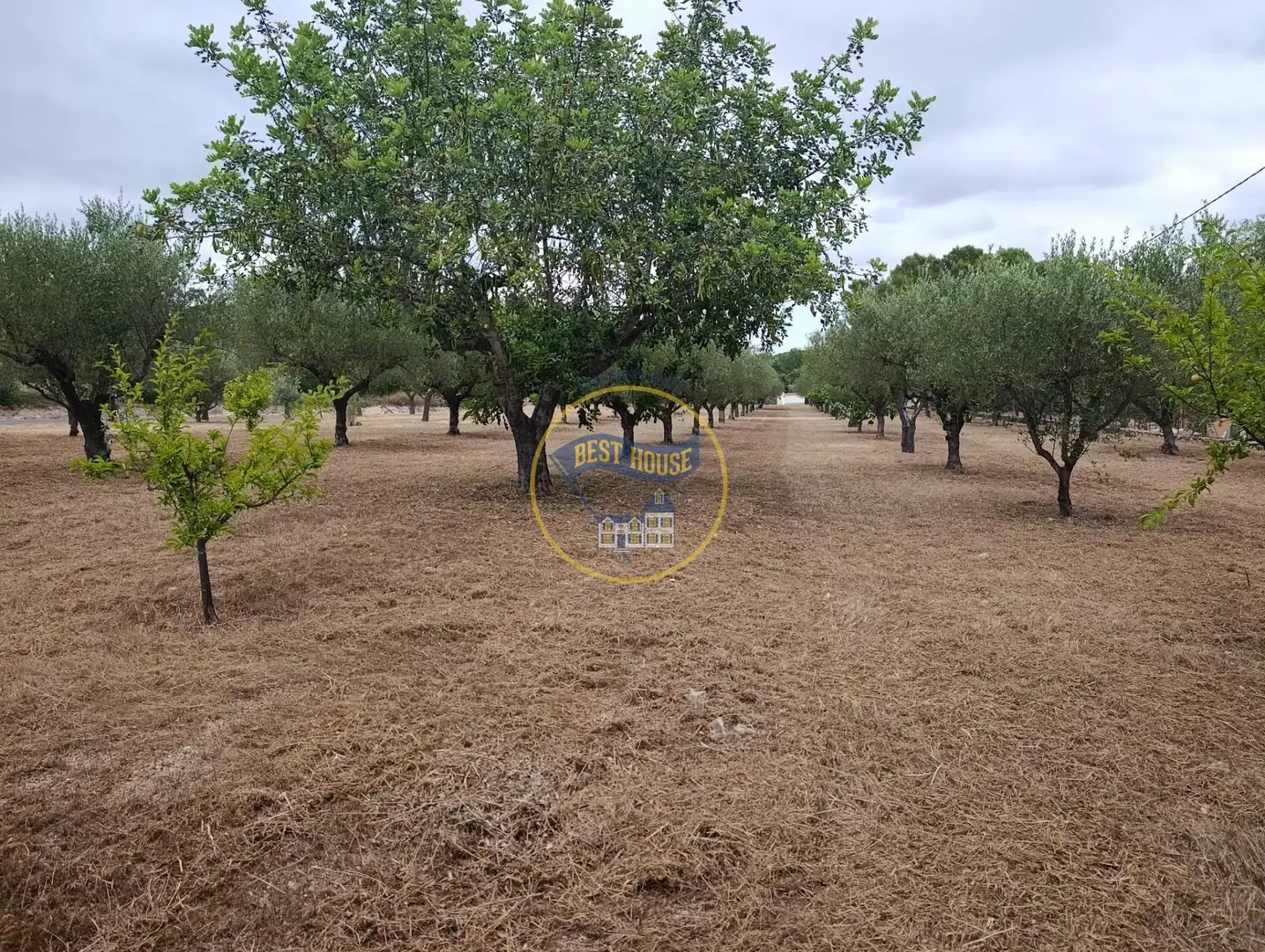 Casa o xalet en venda en Ontinyent amb Jardí privat, Traster i Piscina