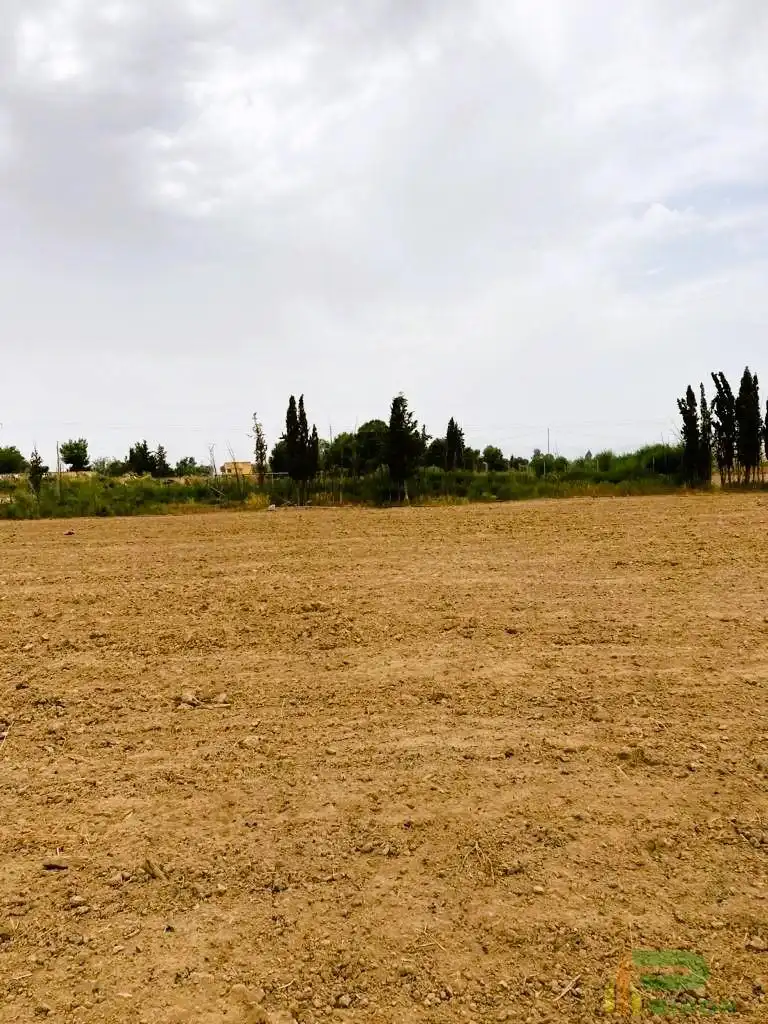 Lands and plots for sale in autovia lorca aguilas, imagen 9