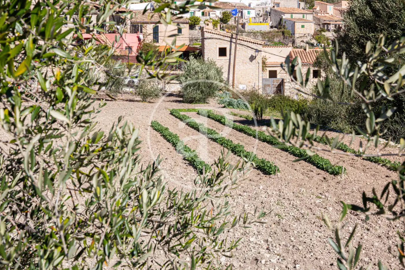 Residential for sale in Puigpunyent
