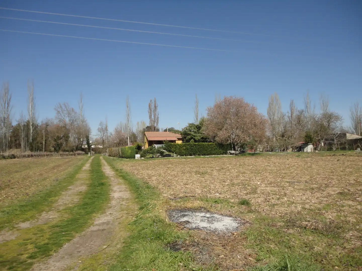Chalet con piscina en venta en Laguna de Duero, imagen 24