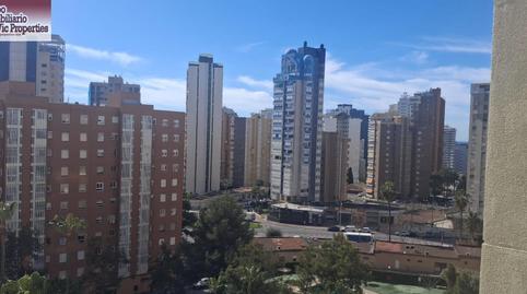 Foto 2 de Apartament en venda a Juzgados - Plaza de Toros, Benidorm