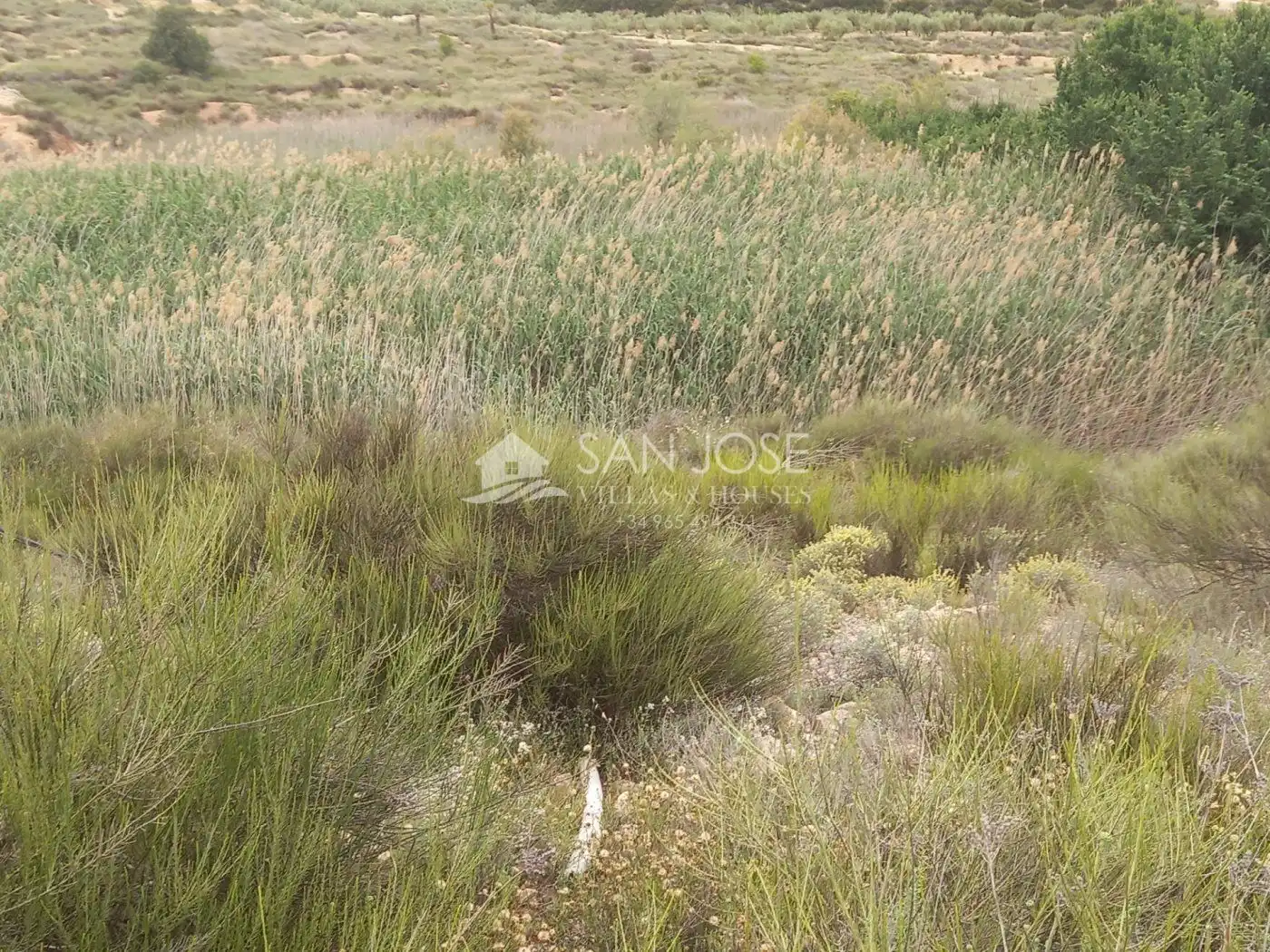 Rural land for sale in Novelda, imagen 16
