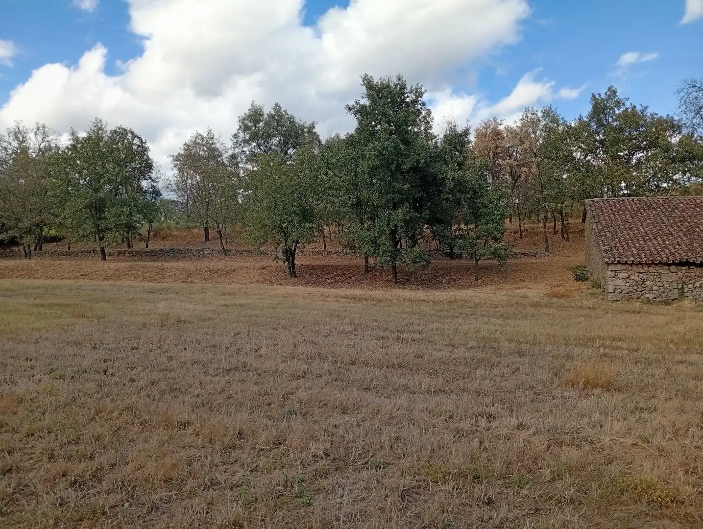 Terreni e lotti in vendita a Villanueva de la Vera, imagen 76