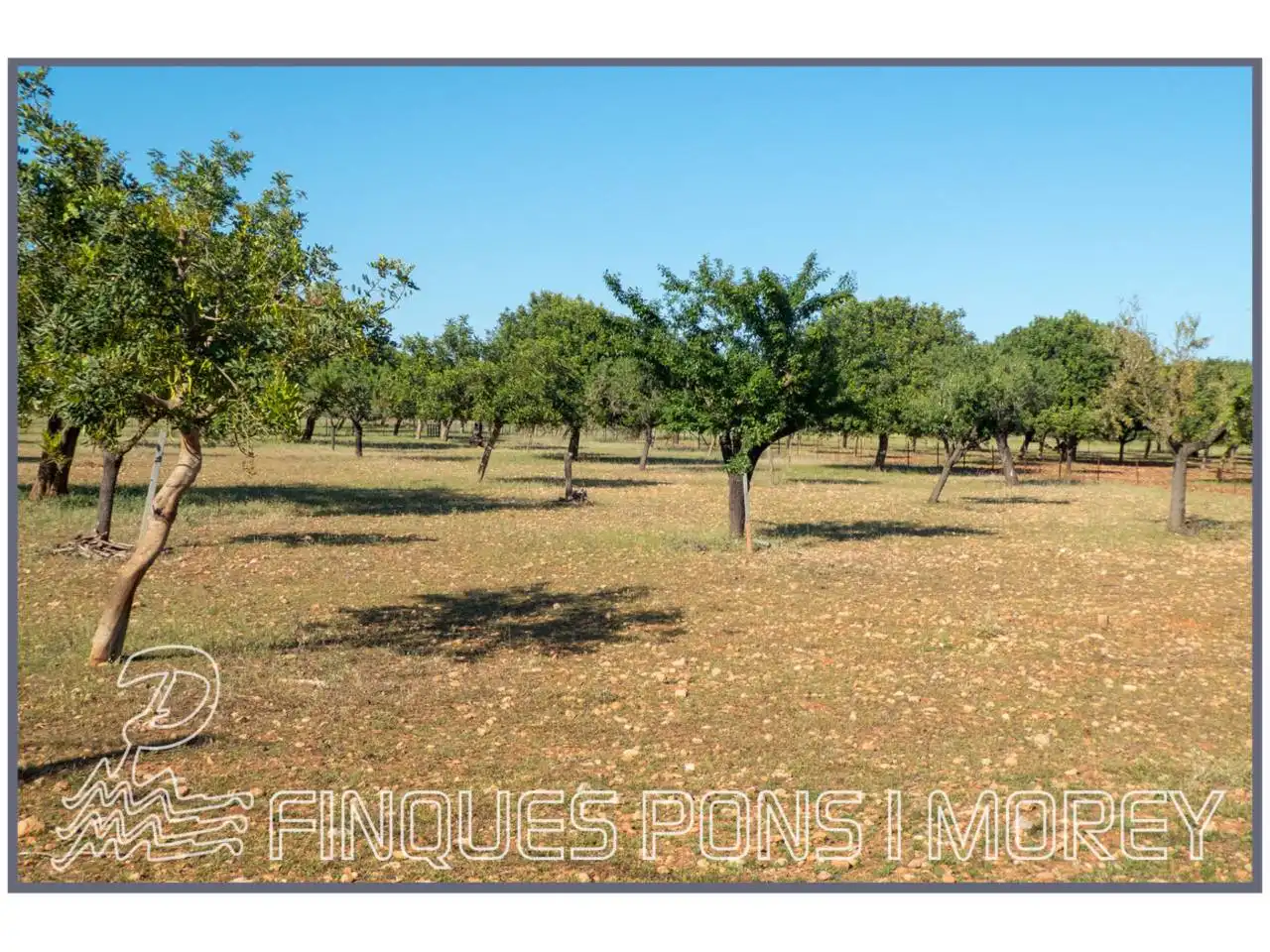 Finca rústica en venda en Campanet