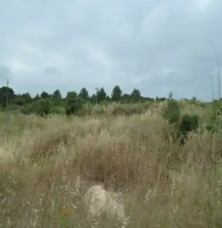 Terrenys i solars en venda a sect 40 Llevant de Pau Casals, imagen 7