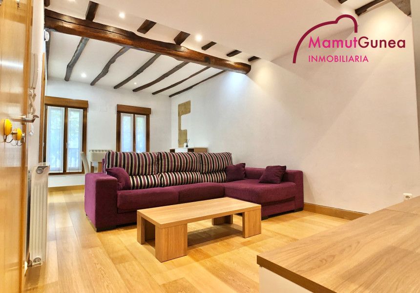 Sala d'estar de Pis en venda en Oiartzun amb Terrassa