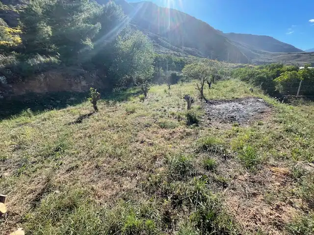 Terreno rústico en venta en Paraje los Molinicos 1, imagen 6