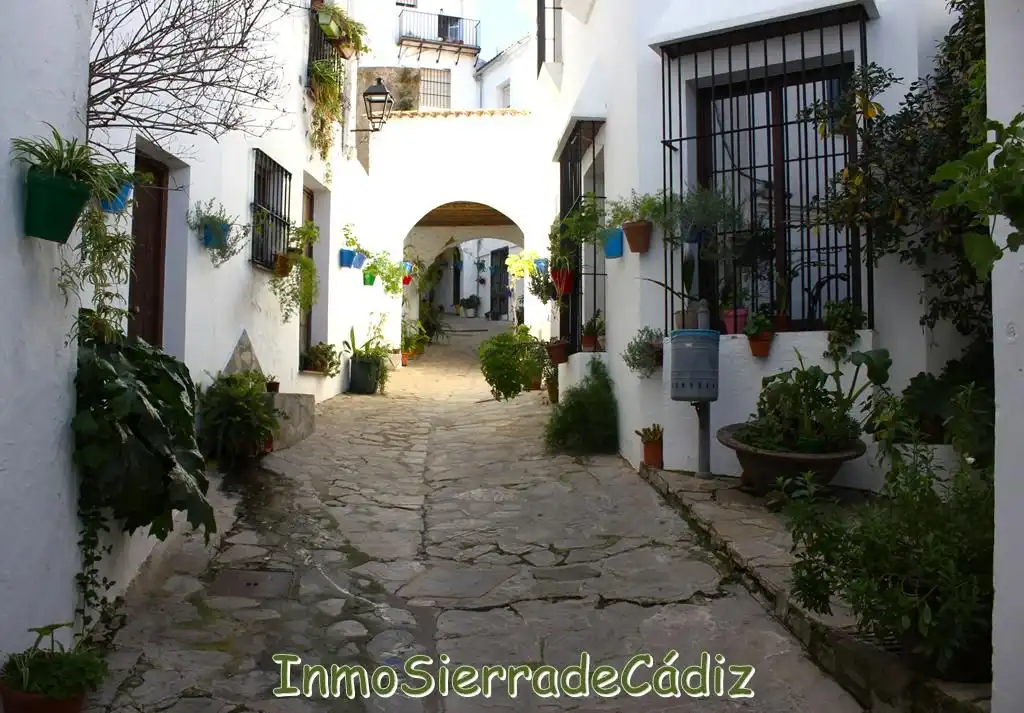 Maison avec terrasse à vendre à Virgen del Rosario, imagen 4