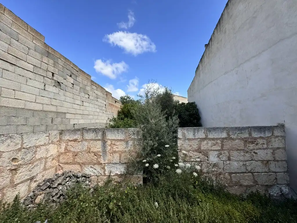 Terreno rustico in vendita a Sa Pobla, imagen 6