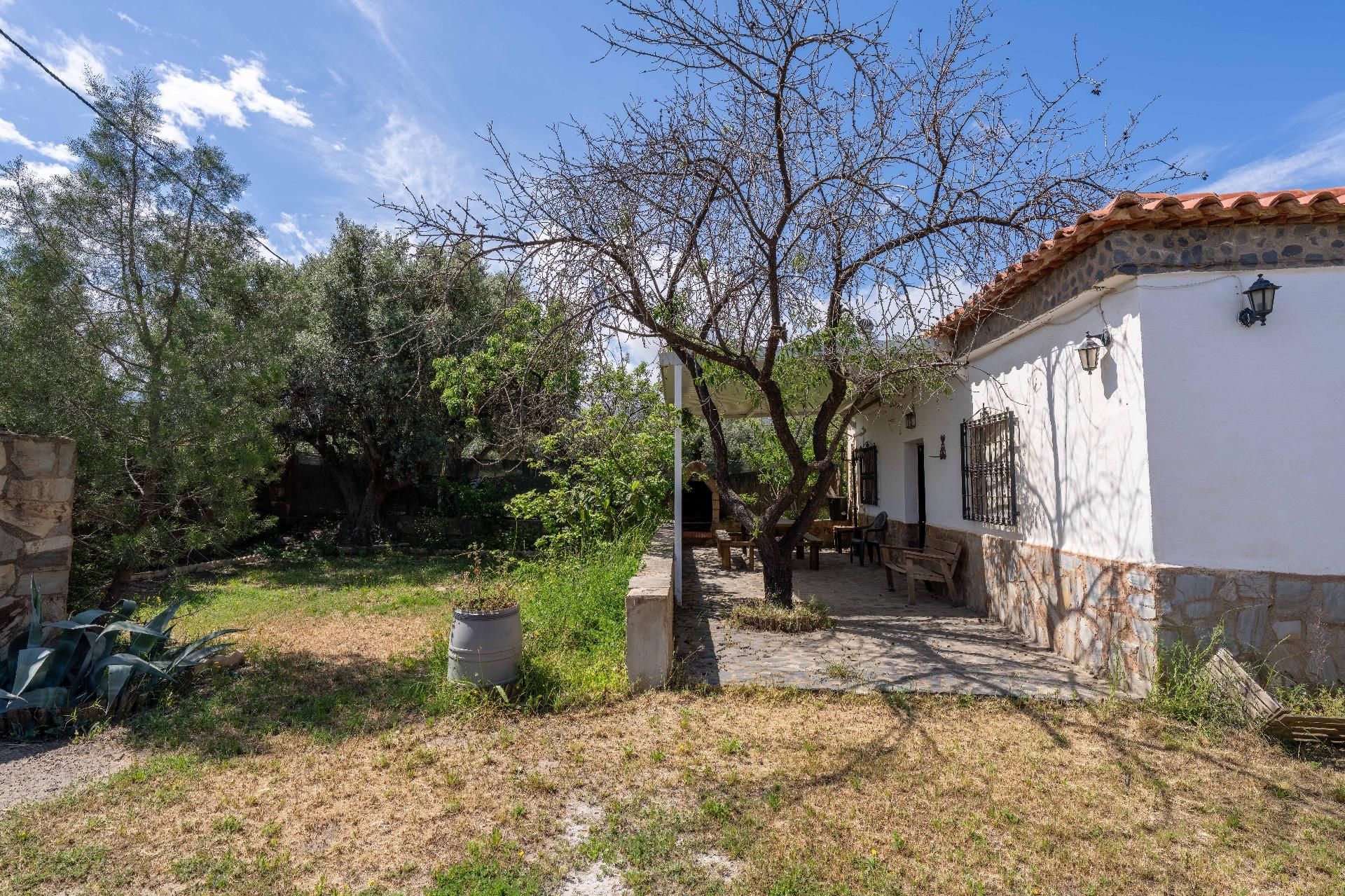 Jardí de Finca rústica en venda en Fiñana amb Calefacció, Jardí privat i Terrassa