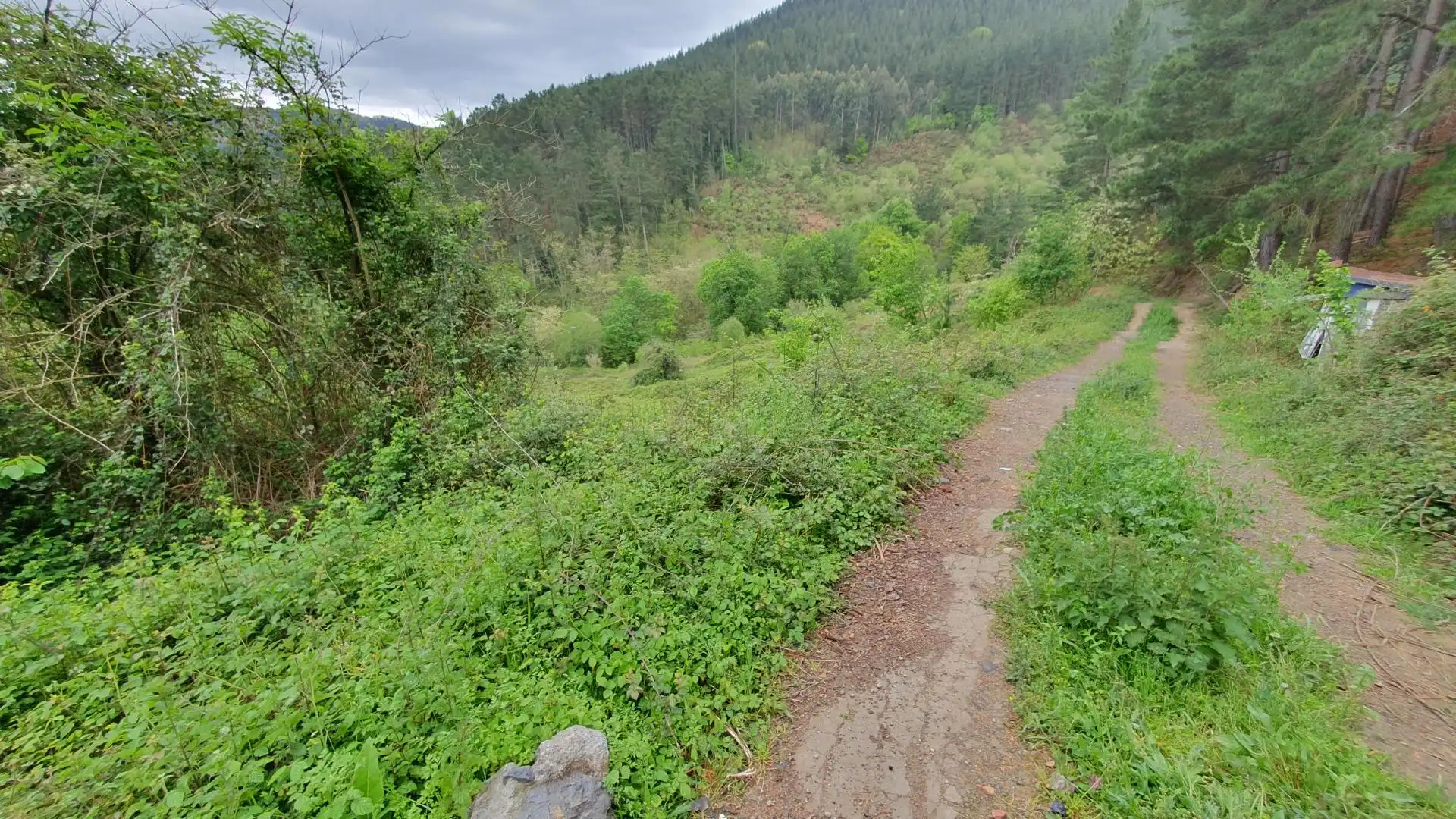 Land for sale in Laudio / Llodio