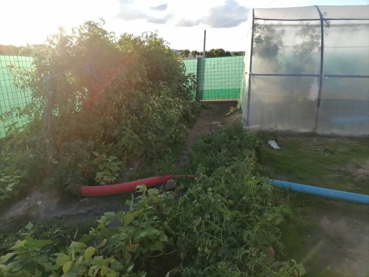 Jardín de Finca rústica en venta en Ciudad Rodrigo con Terraza y Amueblado