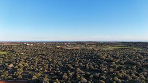 Foto 4 de Residencial en venta en Ses Salines Poble, Ses Salines