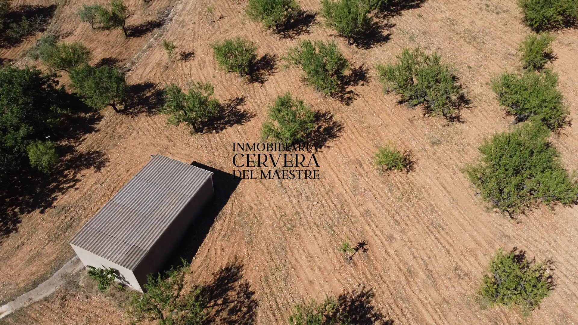 Rural land for sale in Cervera del Maestre, imagen 23