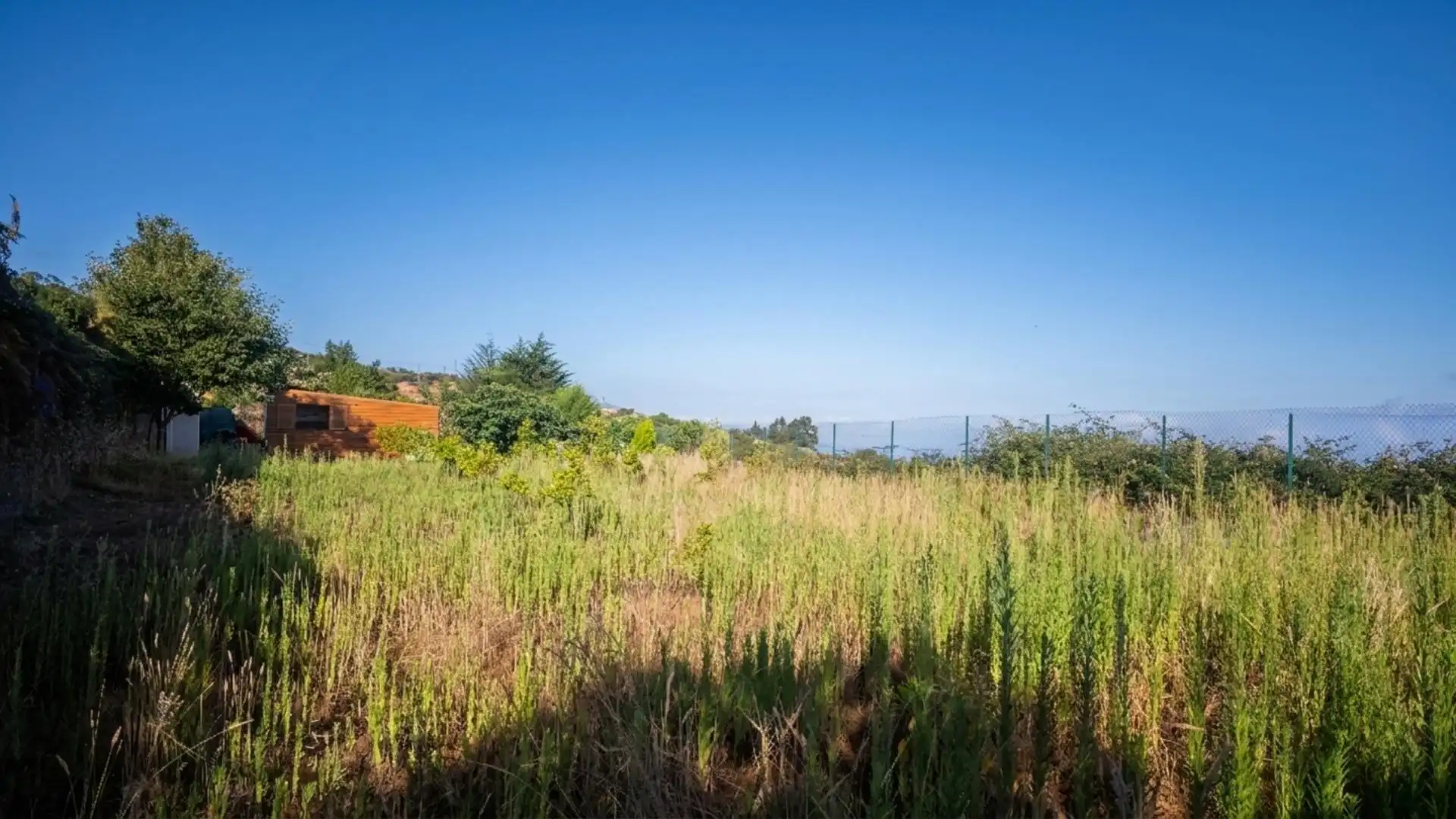 Finca rústica en venda en Los Realejos