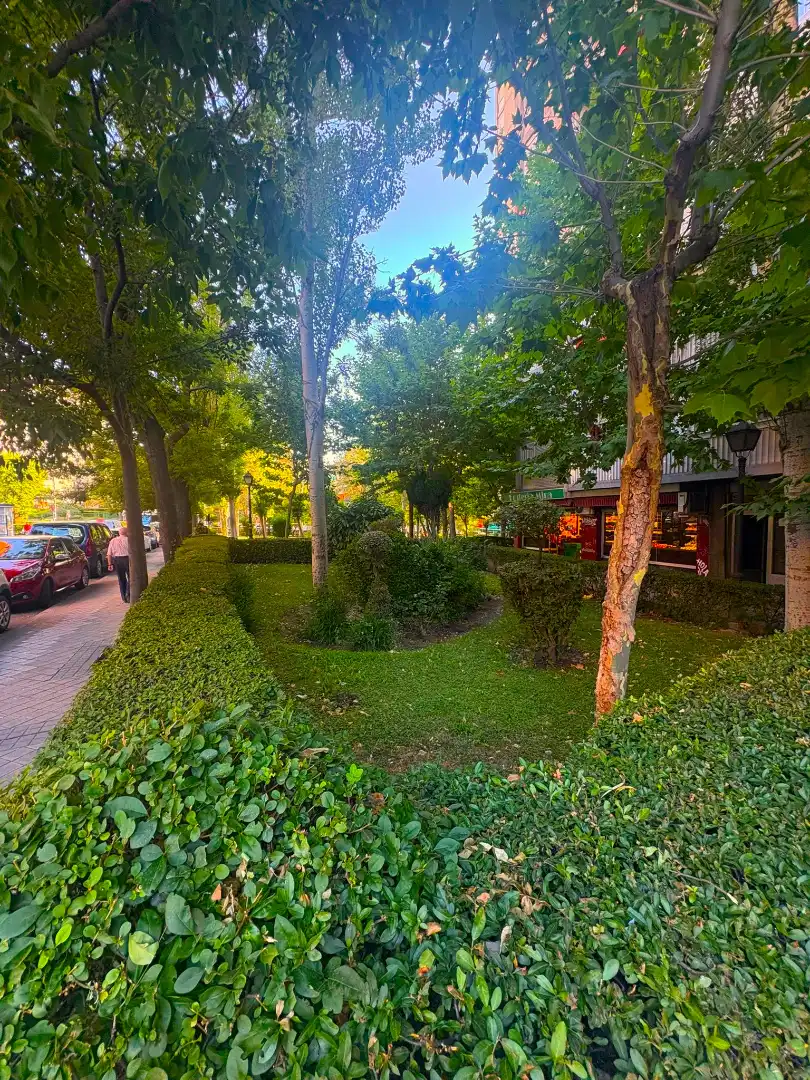 Jardí de Pis de lloguer en Madrid