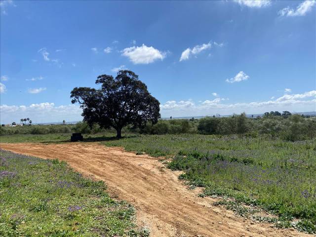 Terreno residencial en Venta en Polígono 8 en El Juncal - Vallealto