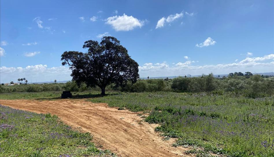 Foto 1 de Residencial en venda a Polígono 8, El Juncal - Vallealto, Cádiz