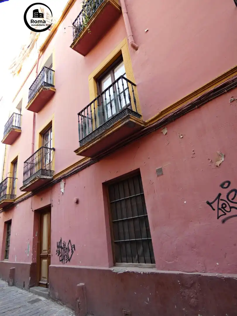 Inmuebles singulares en venta en Centro, imagen 2