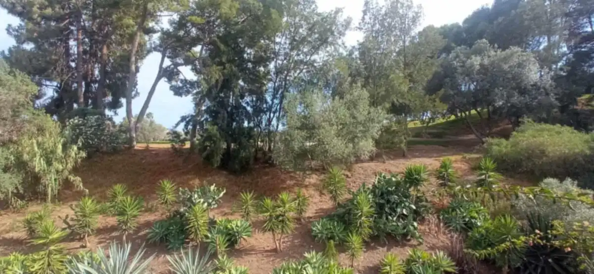 Detached house with terrace for sale in Calle Auriga 15, imagen 9