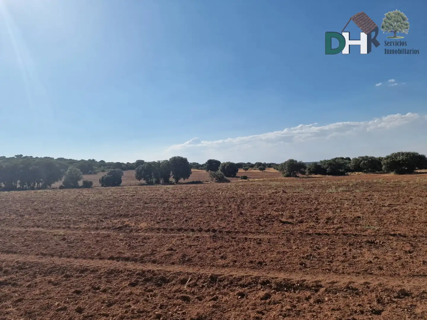 Terrenys i solars en venda a Miguelturra, imagen 11