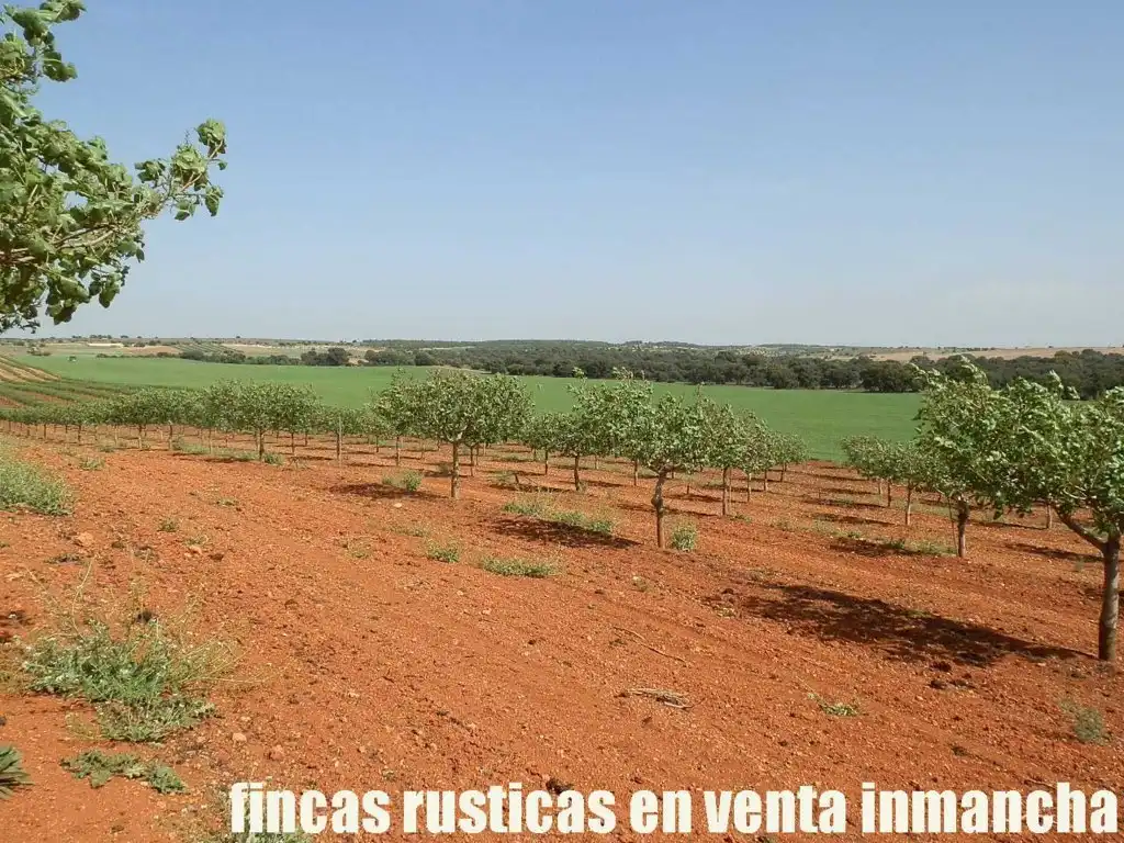 Terreni e lotti in vendita a Belmonte, imagen 13