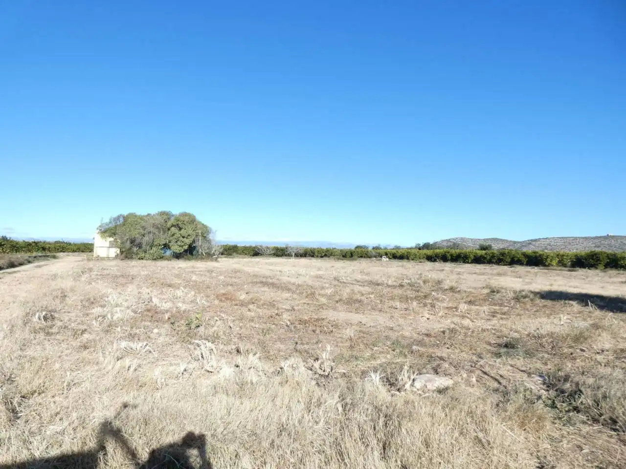 Rural land for sale in Poligono 3 PARTIDA EL PUIG, imagen 2
