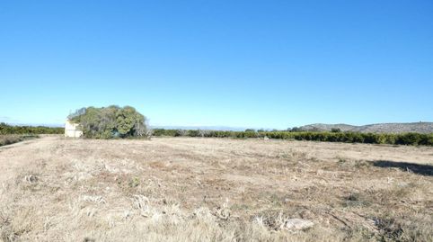FINCA RUSTICA CON ALMACEN, imagen 2