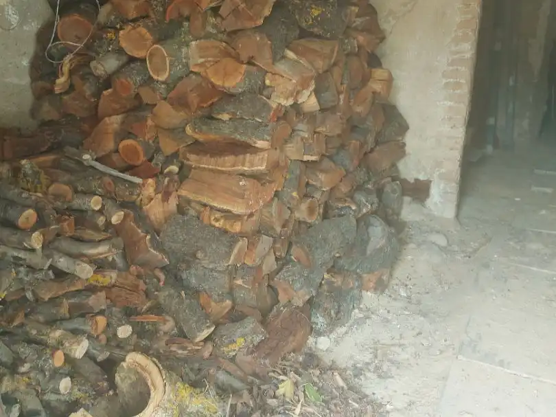 Casa aparellada amb jardí en venda a L'Escultor 10, imagen 12