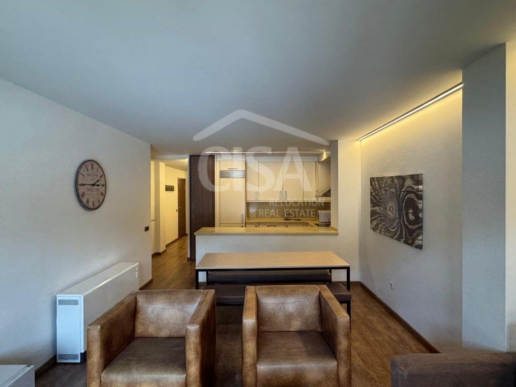 Living room of Flat to rent in Canillo  with Terrace, Furnished and Oven