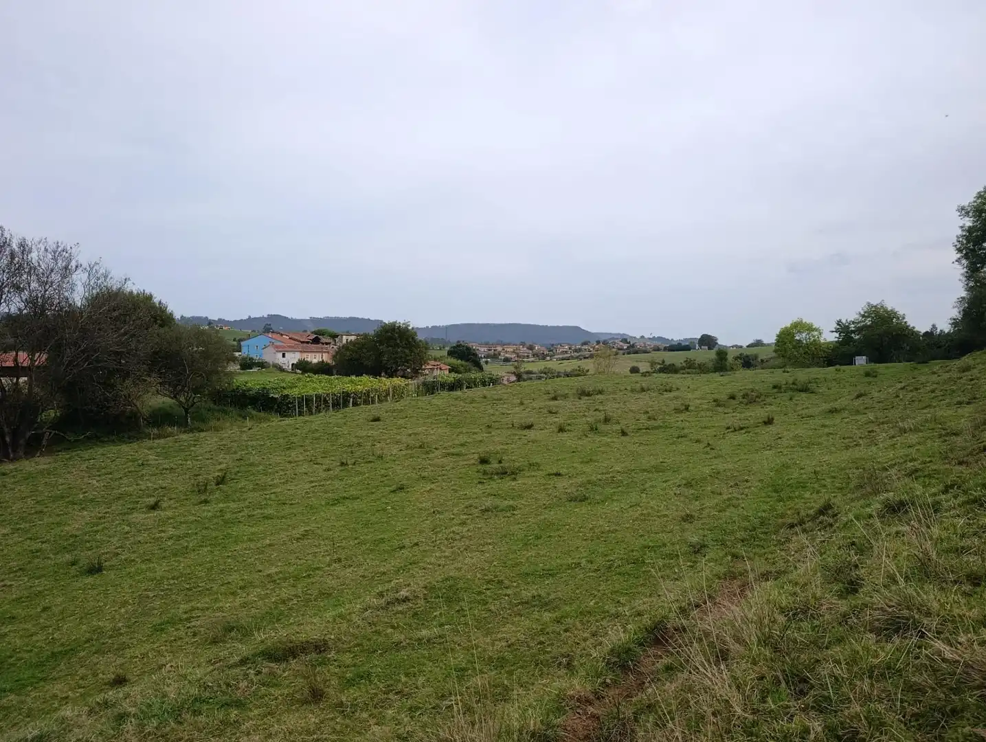 Rustikales Grundstück zum Verkauf in Carretera Piñera (Noriega) 0, imagen 16