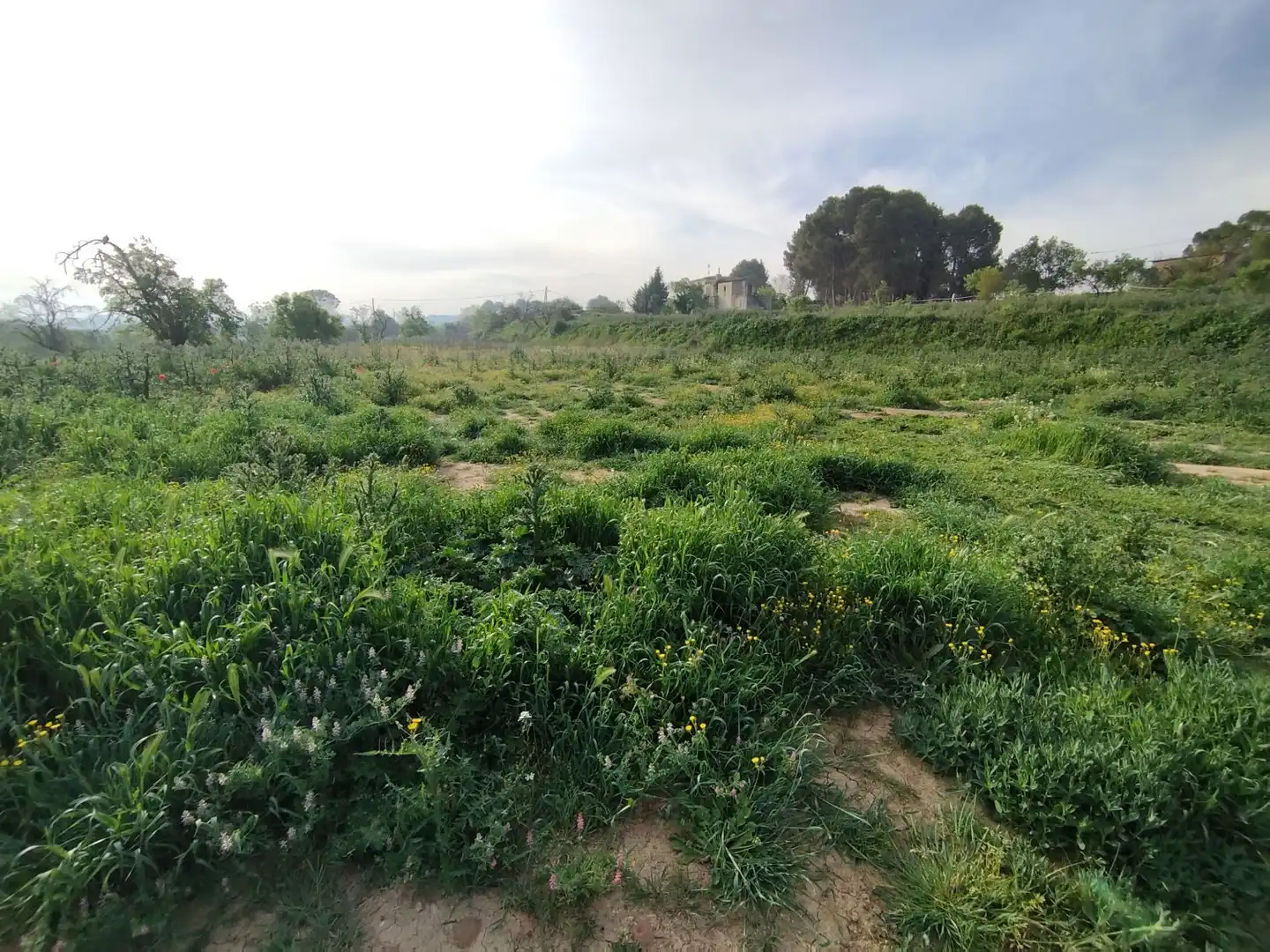 Finca rústica en venda en Castelldans