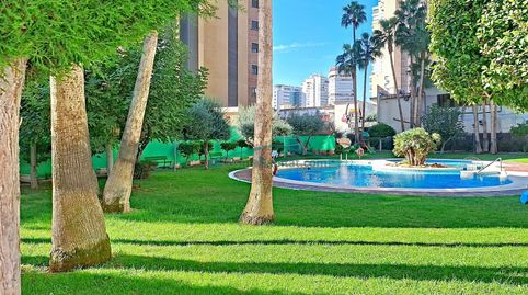 Foto 3 de Piso en venta en Playa Levante, Benidorm