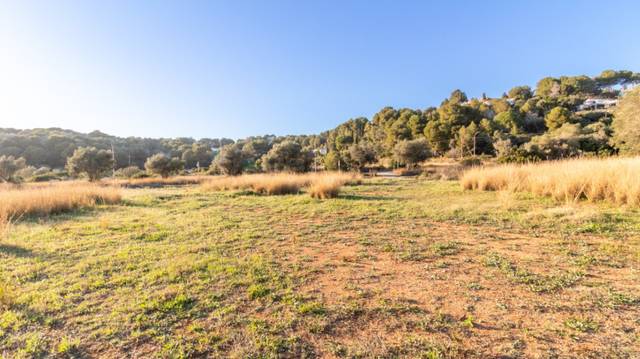 Terreno residencial en Venta en Jesús Pobre