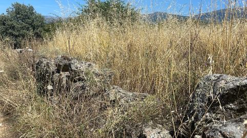 Foto 3 de Terreny en venda a Cenicientos, Madrid