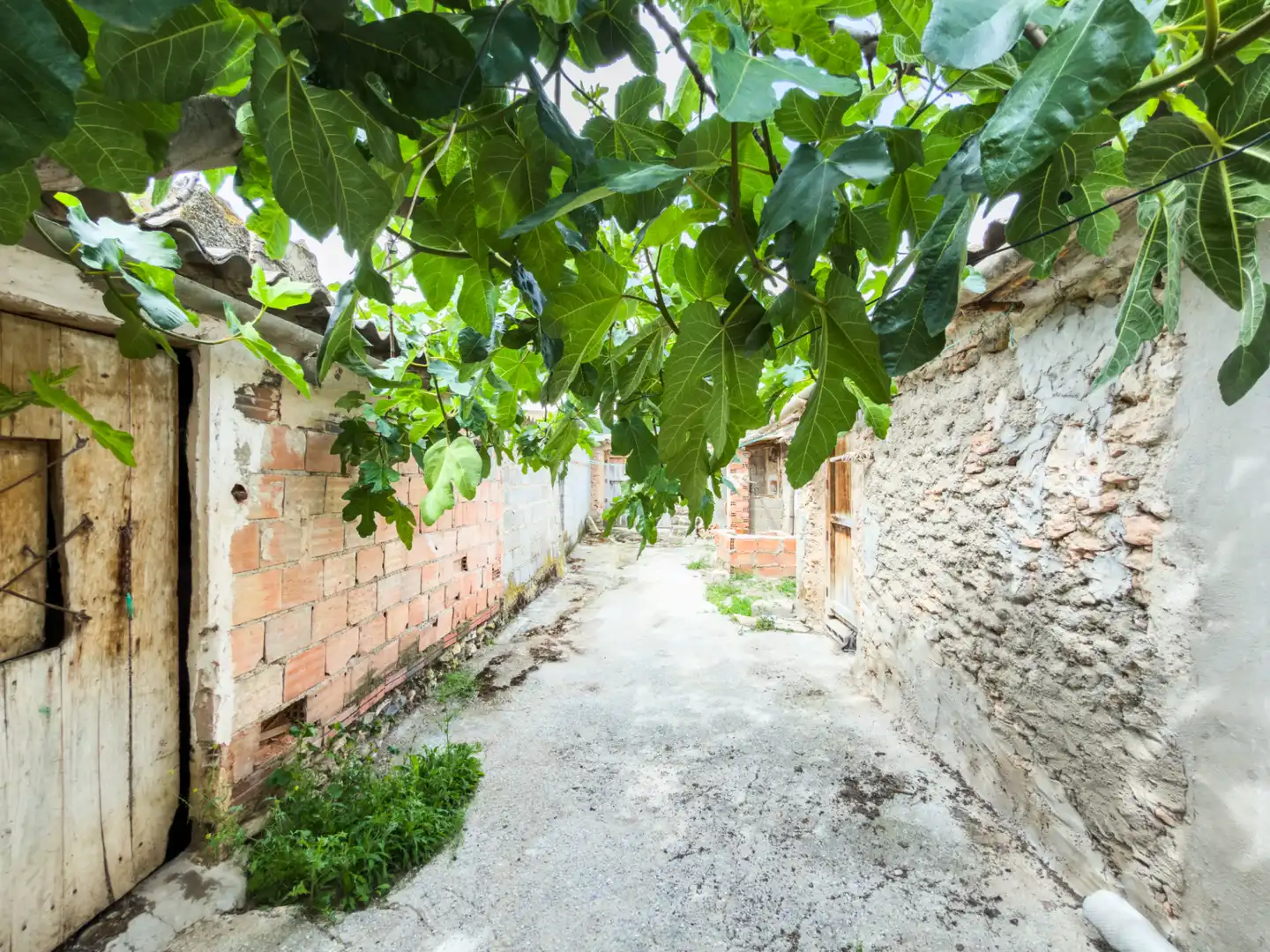 Casa o xalet en venda en Cortes de Baza amb Jardí privat, Terrassa i Moblat