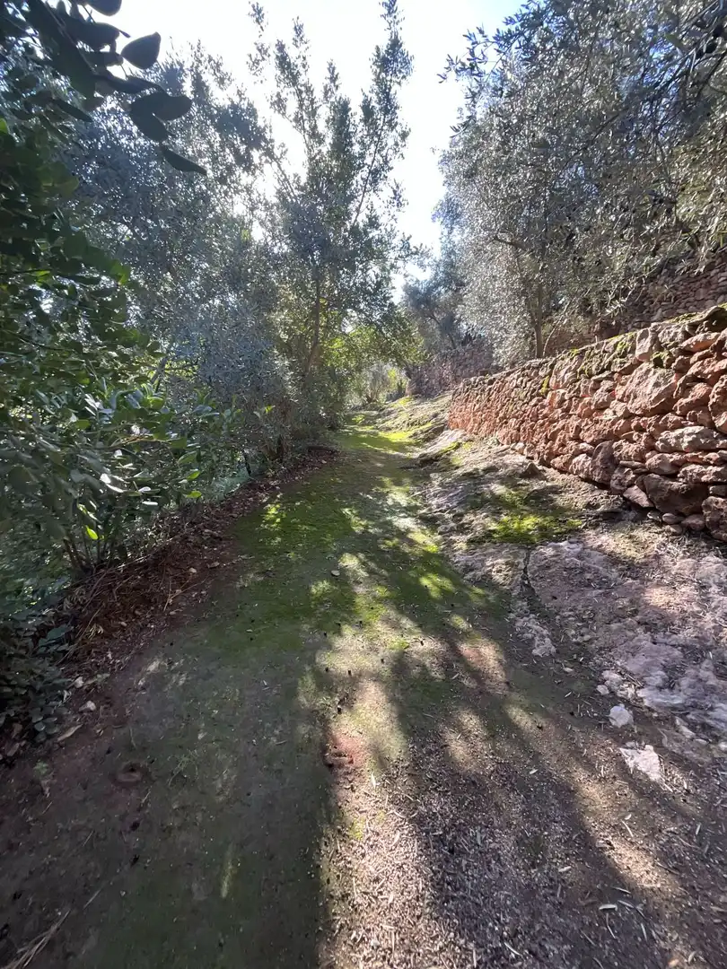 Terreni e lotti in vendita a Solero, imagen 19